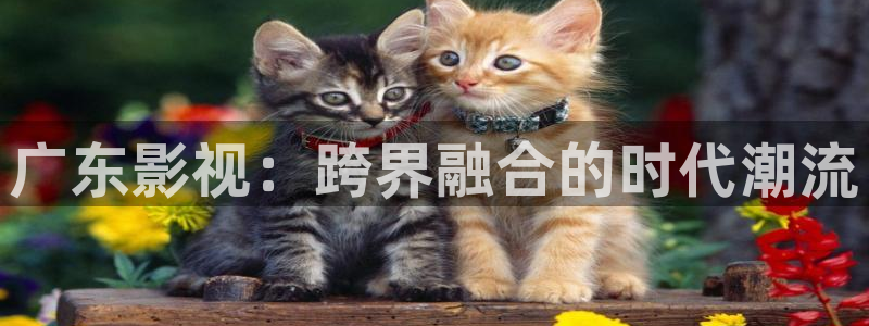 極速影院免費高清電影：廣東影視：跨界融合的時代潮流