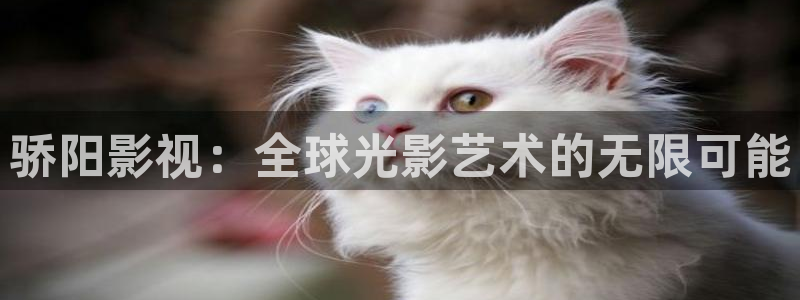 萬能影視極速版：驕陽影視：全球光影藝術的無限可能