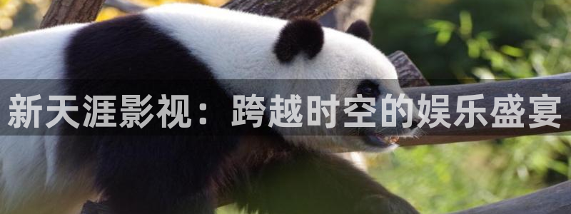 極速電影院在線觀看：新天涯影視：跨越時空的娛樂盛宴