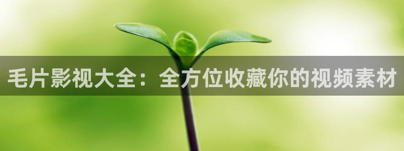 飛極速在線影院：毛片影視大全：全方位收藏你的視頻素材