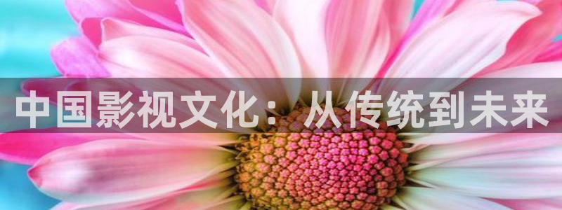影視工廠極速藍光：中國影視文化：從傳統到未來